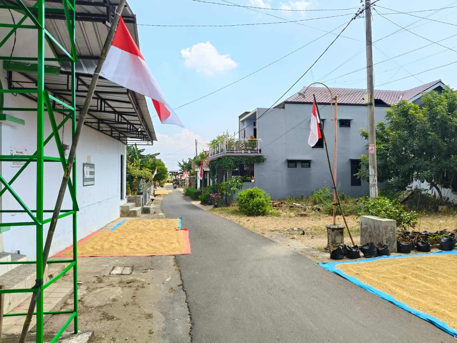 The location (2)